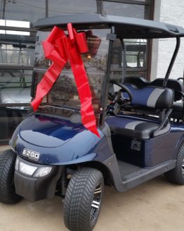 Electric Blue EZGO