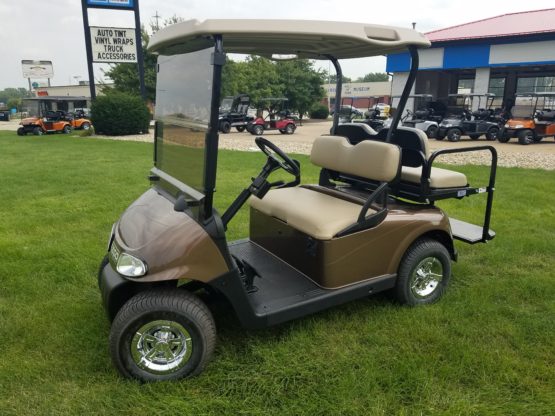 Beautiful Java Brown Metalic EZ-GO RXV - Image 3